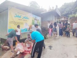 Sapi Bantuan Indojalito Peduli Disembelih di Musala Nurul Yaqin Pasar Usang