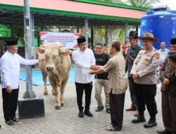 Arjuna Sapi Presiden Prabowo Untuk Kota Solok