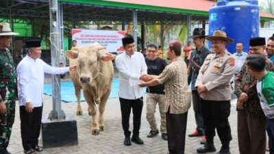 Arjuna Sapi Presiden Prabowo Untuk Kota Solok