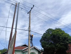 Pastikan Jaringan Prima, PLN Icon Plus Lakukan Preventive Maintenance Jaringan di Lipat Kain Singingi