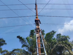 Perkuat Infrastruktur, PLN Icon Plus Lakukan Pemeliharaan Kabel Fiber Optik di Inhil