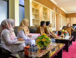 Wabup M Iqbal Dukung Workshop Nasional Implementasi Integrasi Layanan Primer