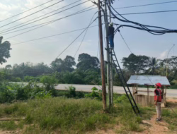 PLN Icon Plus Pastikan Keandalan Layanan Internet Melalui Pemeliharaan Rutin Jaringan Fiber Optik di Dharmasraya