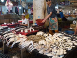 Ikan Kembung Turun Harga pada Minggu Kedua Juli 2025