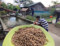 Inovatif Kelola Sampah, Padang Masuk Nominasi ASEAN ESC Award 2025