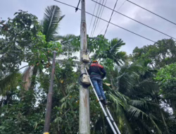 Jaga Keandalan Layanan Internet, PLN Icon Plus Lakukan Pemeliharaan Jaringan Internet di Pulau Palas