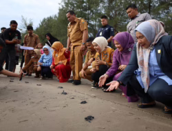 Wagub Vasko Serahkan Induk Unggul Ikan Lele dan Lepas Tukik di UPTD Konservasi Penyu