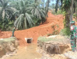 Dansatgas TMMD ke-125 Tinjau Progres Pembangunan Jalan di Muaro Momong