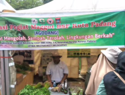 Agodang Jadikan Maggot Mesin Hidup Pengurai 15 Ton Sampah Padang