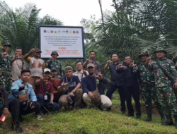 Dua Perusahaan Kuasai 8.133 Hektare Lahan Sawit Ilegal di Solok Selatan