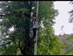 Perkuat Keandalan Koneksi Internet, PLN Icon Plus Lakukan Pemeliharaan Fiber Optic di Jalur Padang Luar – Maninjau
