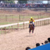 Indonesia’s Horse Racing Cup II dan Sarga Festival Berhasil Menarik Puluhan Ribu Penonton