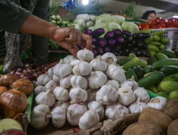 Harga Bawang, Cabai Rawit, Seledri dan Tempe Turun
