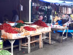 Harga Cabe Mulai Pedas