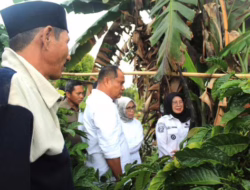 Sinergi Pemimpin Dharmasraya: Bupati Berjuang ke Pusat, Wabup Bangun Jaringan Antar Daerah
