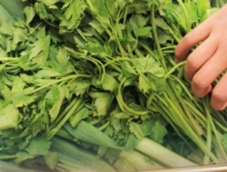 Seledri dan Bawang Daun Turun Hampir Setengah Harga