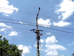 Upaya Menjaga Keandalan Jaringan, PLN Icon Plus Lakukan Pemeliharaan Infrastruktur Telekomunikasi di Wilayah Sungai Apit