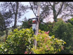 Perkuat Kualitas Layanan, PLN Icon Plus Lakukan Pemeliharaan Fiber Optik di Sijunjung