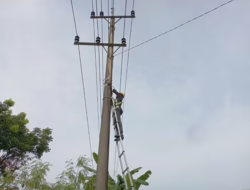 Dorong Keandalan Telekomunikasi, PLN Icon Plus Lakukan Pemeliharaan Fiber Optik di Wilayah Rumbai