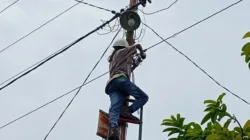 Konektivitas Makin Andal, PLN Icon Plus Lakukan Pemeliharaan Infrastruktur Jaringan Fiber Optic di Padang Pariaman