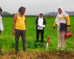 Tim Ajudikasi Pessel Lakukan Pemeriksaan Lapangan PTSL 2025 di Kecamatan Bayang