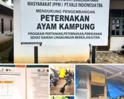 “Menetas di Antara Sayap dan Doa”