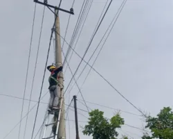 Wujudkan Jaringan Internet Andal, PLN Icon Plus Lakukan Pemeliharaan Jaringan Fiber Optik di Kabupaten Kampar