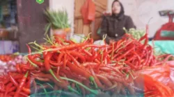 Pasokan Meningkat, Cabai Merah Turun Harga