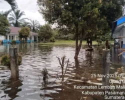 Dampak Cuaca Ekstrem, 22 Sekolah Terdampak Banjir di Pasaman Barat