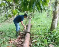 Jamin Pasokan Air ke Masyarakat, Perumda Air Minum Tirta Saiyo Lakukan Pemulihan Jaringan Sumber Air