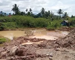 Dituding Picu Banjir di Padang, PT Perambahan Jaya Abadi Minta KLH Klarifikasi