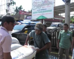 Bupati Yulianto Serahkan Bantuan Beras ke Kecamatan Talamau