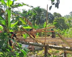 11 KK Korban Banjir Bandang di Kapalo Koto Bangun Huntara Mandiri