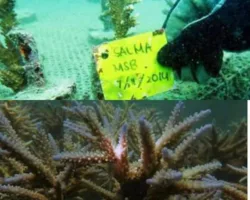 Experiential Learning in Minangkabau (ELM) ; Program Wisata Edukasi yang Menyelamatkan Lingkungan