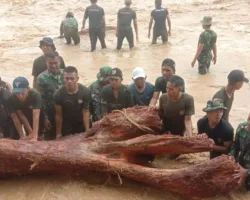 Santri Ponpes Taruna Rabbani Solok Turut Bantu Korban Banjir Bandang Muaro Pingai