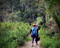 PLN Icon Plus Percepat Pemulihan Jaringan Melalui Perbaikan Backbone di Batang Toru, Tapanuli Selatan