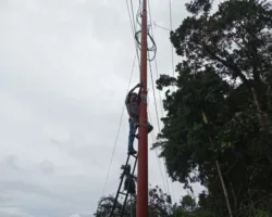 Dukung Keamanan dan Kualitas Jaringan, PLN Icon Plus Lakukan Pemeliharaan Jaringan di Agam