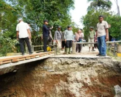 Dikebut Jalan Penghubung Temporer, Bupati Eka Putra Tinjau Normalisasi Batang Sumpur dan Jembatan Baiang Malalo