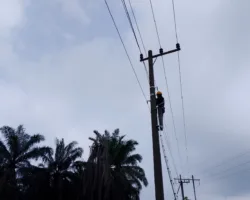 Dukung Stabilitas Layanan Digital, PLN Icon Plus Lakukan Pemeliharaan Jaringan Fiber Optik di Bengkalis