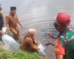 Dukung Ketahanan Pangan, Nagari Sungai Dareh Tebar Ribuan Benih Ikan