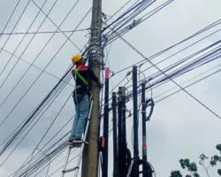 Tingkatkan Kualitas Jaringan Telekomunikasi, PLN Icon Plus Lakukan Pemeliharaan Jalur Fiber Optik di Kota Pekanbaru