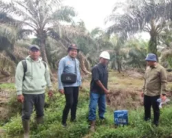 Kantor Pertanahan Pessel Tinjau Lokasi PKKPR Kegiatan Usaha di Silaut
