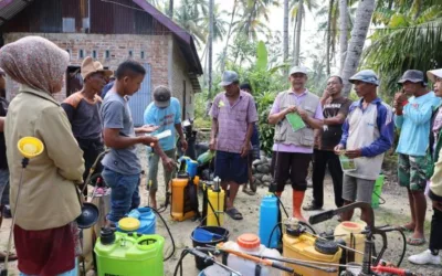 Antisipasi Gagal Panen, Pemko Pariaman Lakukan Penyemprotan Wereng 