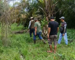 Pasca Kemunculan Beruang, Tim BKSDA Lakukan Patroli dan Pemantauan Satwa Liar