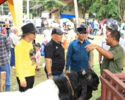 Wakil Wali Kota Solok Buka Kontes Ternak dan Lomba Mewarnai PAUD/TK/RA se-Kota Solok