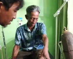 Beruang Mengamuk, Tiga Warga Sinurut Diserang