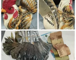“Ayam Bertelur Rupiah”