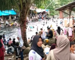 Objek Wisata Ikan Larangan Lubuk Landur Makin Ramai Dikunjungi Masyarakat
