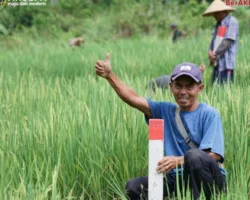 Mudik ke Kampung Halaman? Jaga Batas Tanah sebagai Langkah Awal Cegah Konflik Antartetangga
