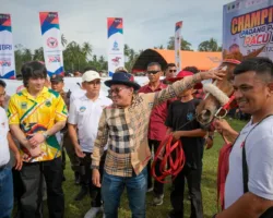 Pacu Kuda Padang Pariaman 2026, Queen Mentari Milik Bupati Eka Putra Juara I Race 12